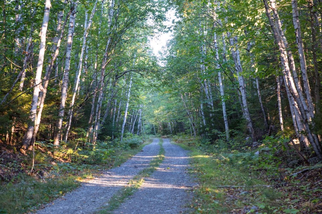 Confronting Reality: The Path to Healing and&nbsp;Growth