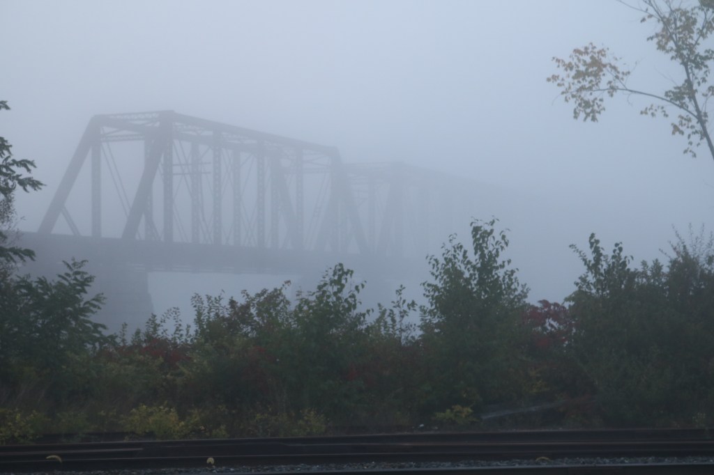 Into the Mystic: Discovering Beauty Beyond Societal Bonds